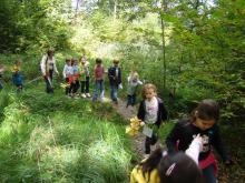 Zajęcia edukacyjne w Parku Leśnym "Dębina"
