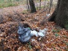 Las nie jest wysypiskiem śmieci!!!